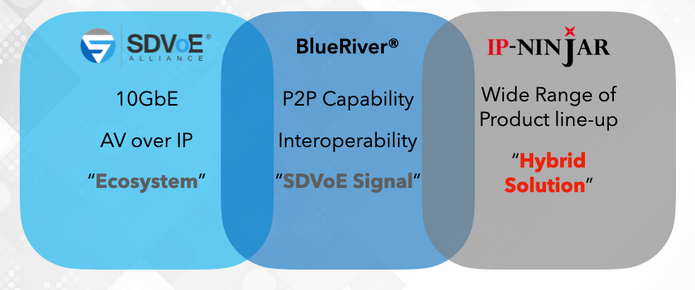 AV over IP/Point-to-Point Hybrid Solution